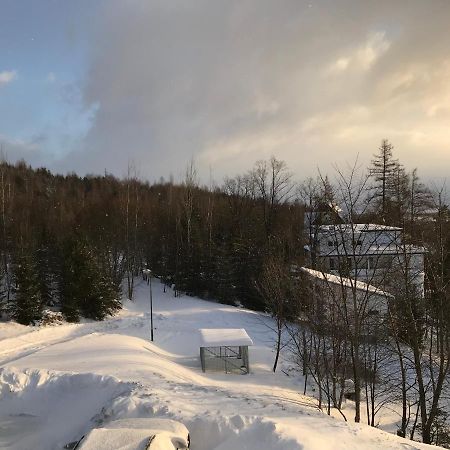 Bellevue Apartments Vila Vlasta Stary Smokovec Vysoké Tatry 外观 照片
