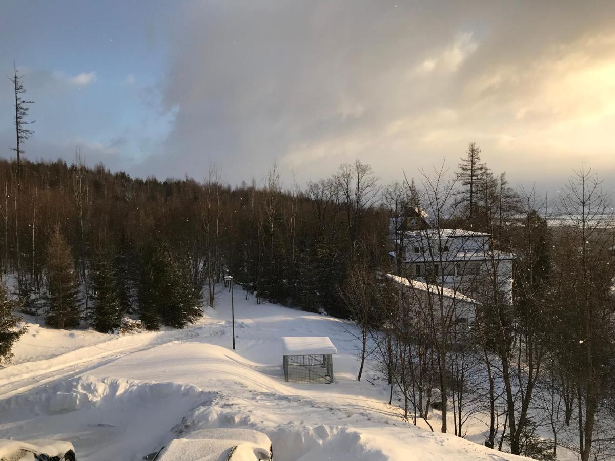 Bellevue Apartments Vila Vlasta Stary Smokovec Vysoké Tatry 外观 照片