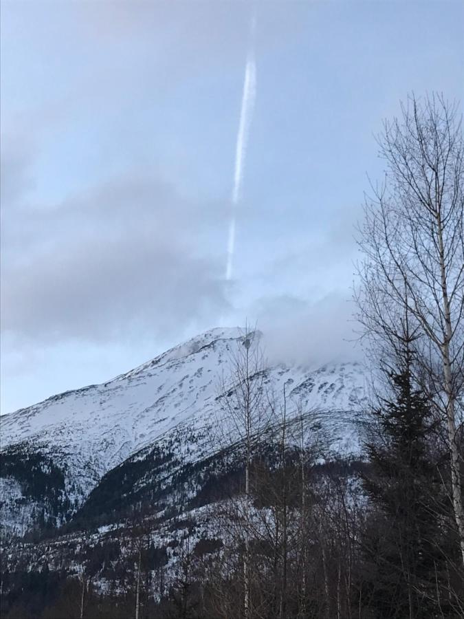 Bellevue Apartments Vila Vlasta Stary Smokovec Vysoké Tatry 外观 照片